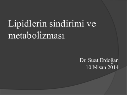 Lipid Metabolism - Prof. Dr. Suat Erdoğan