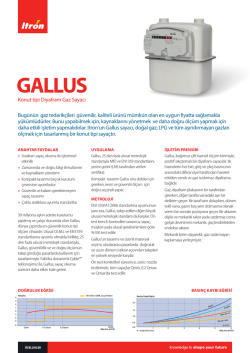 gallus-04-tr-01-14