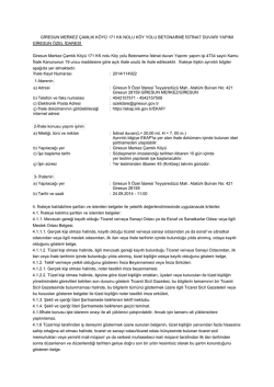 GİRESUN MERKEZ &Ccedil;AMLIK K&Ouml;Y&Uuml; 171 KK NOLU K&Ouml;Y YOLU