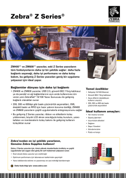Zebra End&uuml;striyel 3