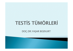 DO&Ccedil;.DR.YAŞAR BOZKURT