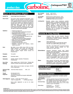 Carboguard 691 PDS (tr)