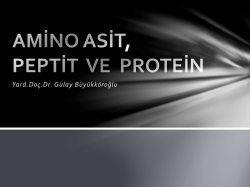 AMİNO ASİT, PEPTİT VE PROTEİN
