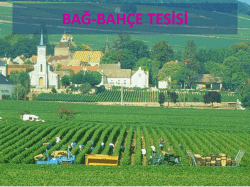 Meyve Bah&ccedil;esi ve Bağ Tesisi