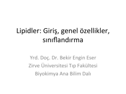 Lipidler-Fizyoterapi - Zirve &Uuml;niversitesi