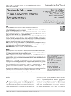 Şizofrenide Bakım Veren Y&uuml;k&uuml;n&uuml;n Boyutları