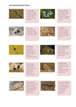 gap faunasının &ouml;nemli t&uuml;rleri
