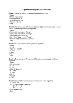 Algoritma &Ouml;rnekleri