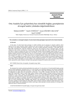 Orta Anadolu İ&ccedil;in geliştirilmiş bazı ekmeklik