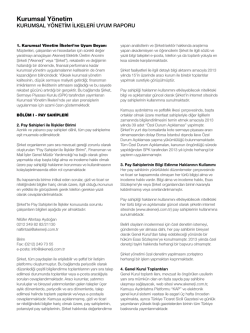 Kurumsal Y&ouml;netim