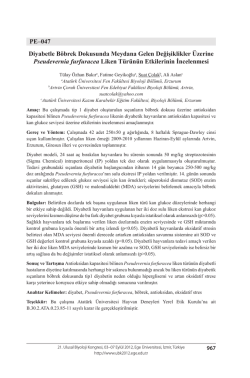 PE–047 Diyabetle Böbrek Dokusunda Meydana Gelen Değişiklikler