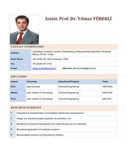 Assist. Prof. Dr. Yılmaz Y&Uuml;REKLİ