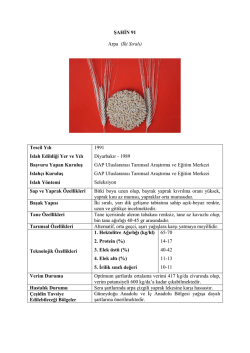 ŞAHİN 91 Arpa (İki Sıralı) Tescil Yılı Islah Edildiği Yer ve Yılı Başvuru