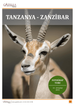 TANZANYA - ZANZİBAR