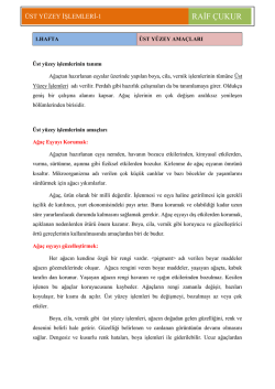 indir - Raif ÇUKUR MOBİLYA VE İÇ MEKAN TASARIMI ÖĞRETMENİ