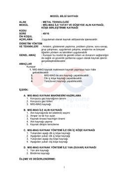 Mod&uuml;l Bilgi Sayfaları