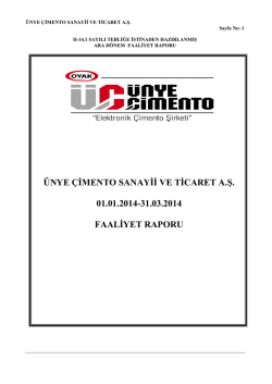 Faaliyet Raporu 31.03.2014