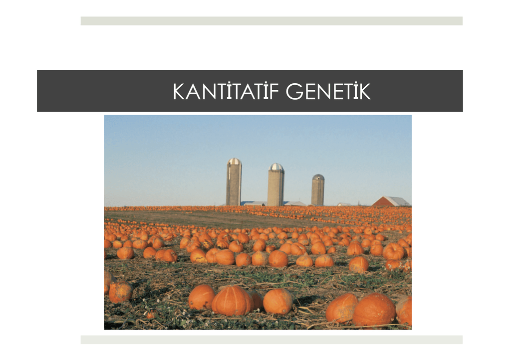 5 Kantitatif Genetik Pptx