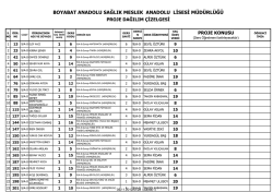 boyabat anadolu sağlık meslek anadolu lisesi m&uuml;d&uuml;rl&uuml;ğ&uuml;