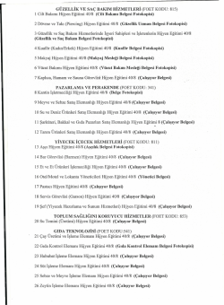 G&Uuml;ZELLİK VE SA&Ccedil; BAKıM HİzMETLERİ (FOET KODU: 815) 1 Cilt