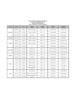 Branş Kategori Seviye Çalışma Günü Çalışma Saati Çalışma Alanı