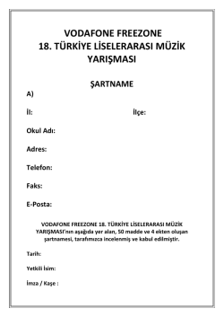 2 - Vodafone Freezone