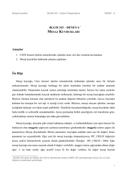 BLGM 343 &ndash; DENEY 6 * Ama&ccedil;lar &Ouml;n Bilgi