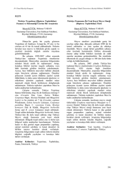 (Diptera: Tephritidae)Faunası ve Sistematiği Üzerine Bir Araştırma