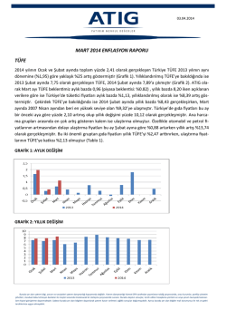 MART 2014 ENFLASYON RAPORU T&Uuml;FE