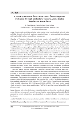 &Ccedil;eşitli Kaynaklardan İzole Edilen Amilaz &Uuml;retici MayalarınMolek&uuml;ler