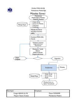 Mütalaa Süreci - Antalya Defterdarlığı