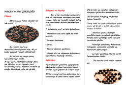 Avrupa Yavru Çürüklüğü - Ankara İl Gıda Tarım ve Hayvancılık