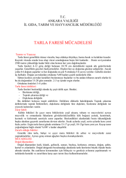 TARLA FARESİ M&Uuml;CADELESİ - Ankara İl Gıda Tarım ve Hayvancılık
