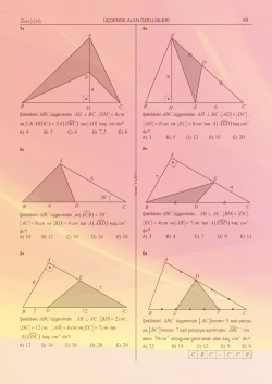 &ouml;rnek sayfalar - Ezbersiz Matematik