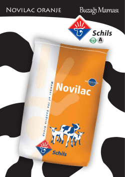 Novilac Oranje