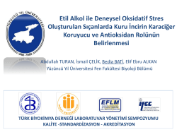 Abdullah Turan, İsmail &Ccedil;elik