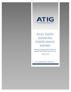 Mutlucan Tuz Fiyat Tespit Raporuna İlişkin Analiz Raporu