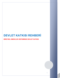 devlet katkısı rehberi - Emeklilik G&ouml;zetim Merkezi