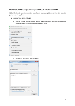 1 INTERNET EXPLORER 11 ( ve diğer sürümler için) UYUMLULUK