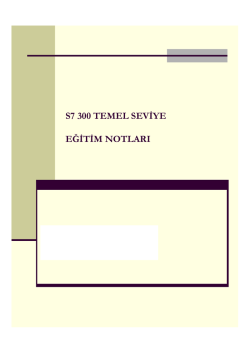 S7300 Temel Seviye