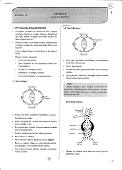 hareketi s&uuml;reklidir.
