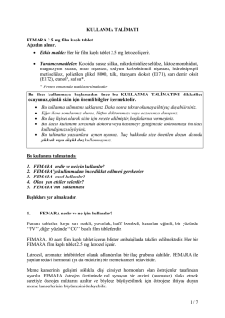 İla&ccedil; Ruhsatlandırma İşleri
