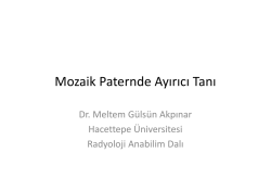 Meltem G&uuml;ls&uuml;n Akpınar