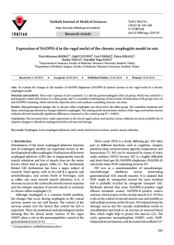 Expression of NADPH-d in the vagal nuclei of