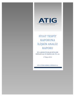fiyat tespit raporuna ilişkin analiz raporu