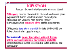 4. hafta