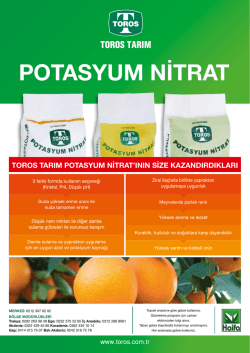 İndirmek i&ccedil;in tıklayınız