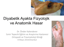 Diyabetik Ayakta Anatomik ve Fizyolojik Hasar