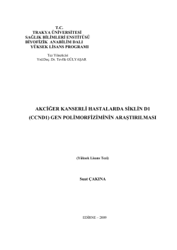 AKCĠĞER KANSERLĠ HASTALARDA SĠKLĠN D1