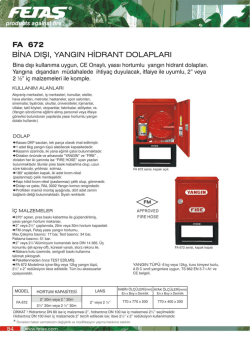 FA 672 - Fetaş